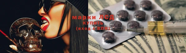 твердый Абаза