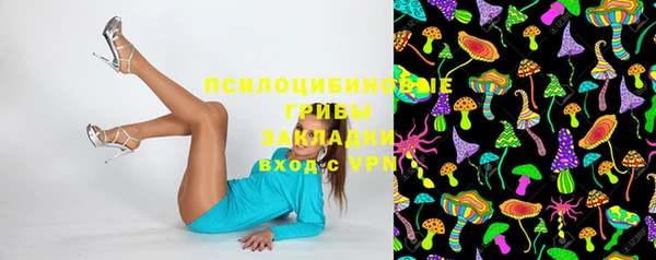 ПСИЛОЦИБИНОВЫЕ ГРИБЫ Абдулино