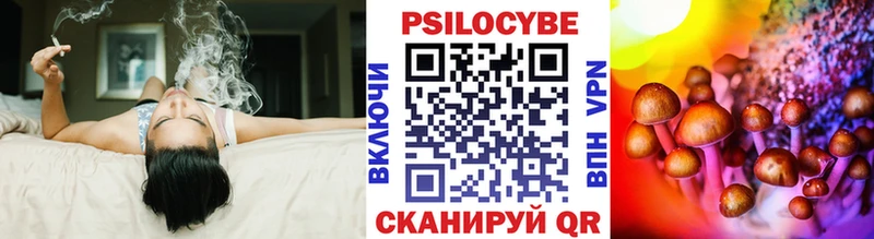 купить   Полярный  hydra как войти  Псилоцибиновые грибы прущие грибы 