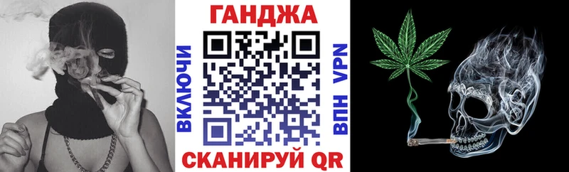 Бошки Шишки планчик  дарнет шоп  Полярный 